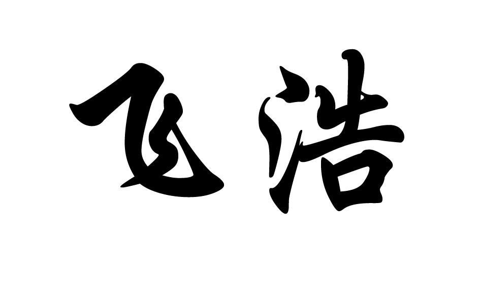 转让商标-飞浩