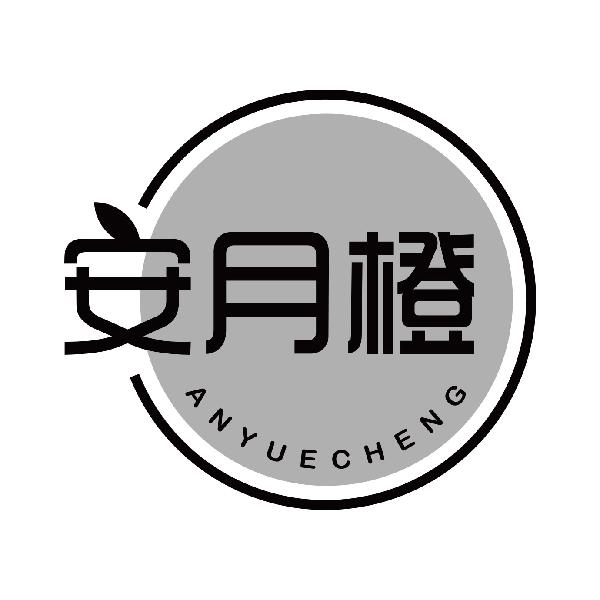 商标文字安月橙商标注册号 58819566,商标申请人杨佳勇的商标详情