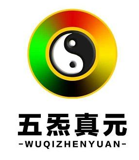 商标文字五炁真源商标注册号 49312999,商标申请人潍坊慧域文化传播