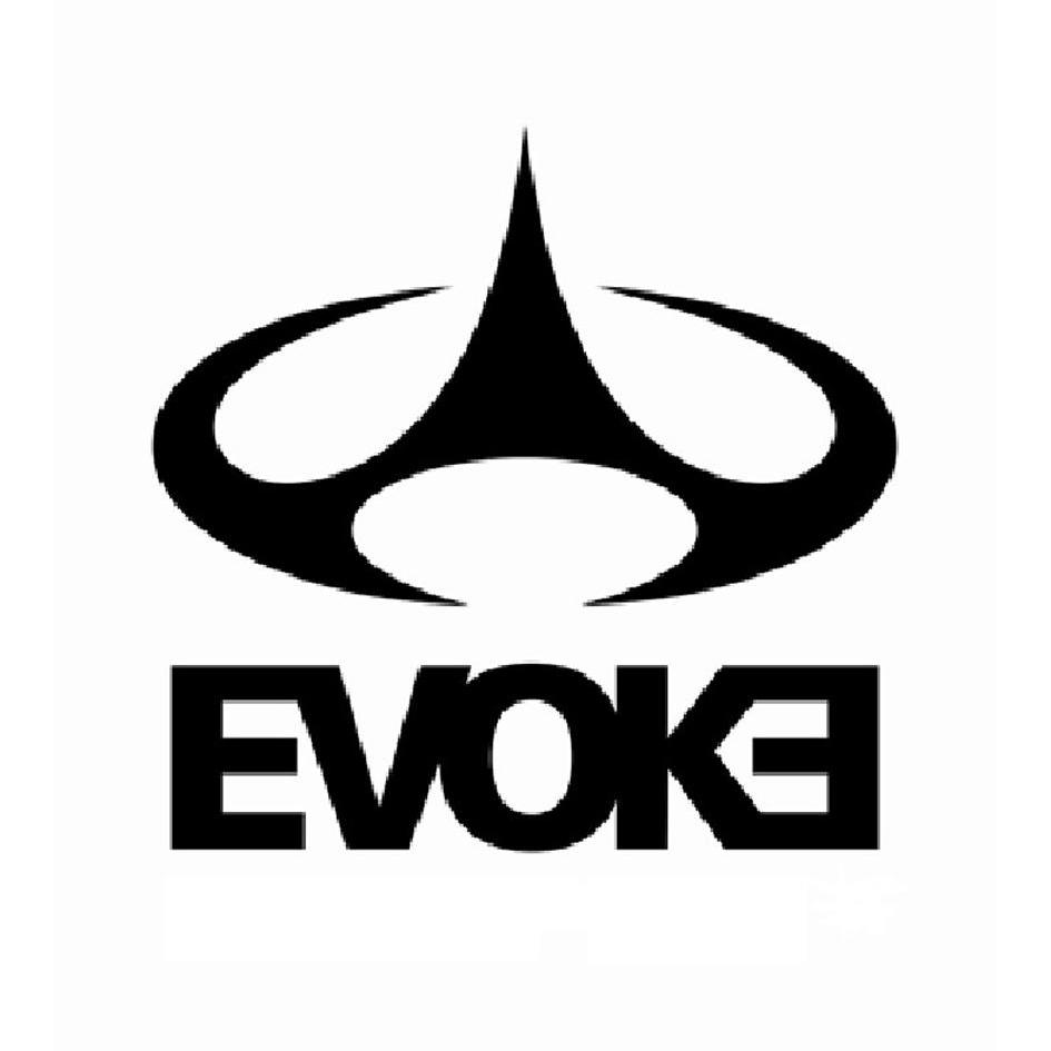 商标文字evoke商标注册号 12486352,商标申请人巴西兰博进出口有限