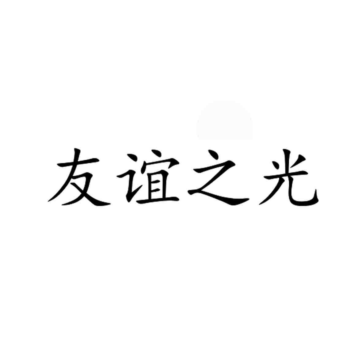 商标文字友谊之光商标注册号 56808090,商标申请人云南启程科技有限