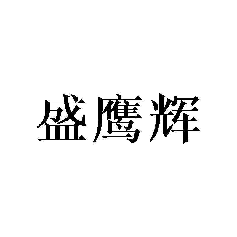 转让商标-盛鹰辉