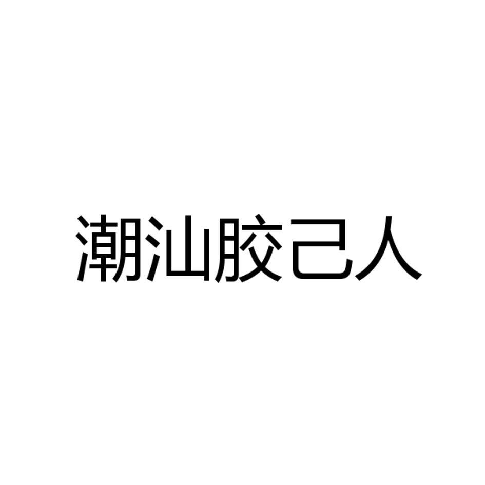 商标文字潮汕胶己人商标注册号 37542105,商标申请人林聪钿的商标详情