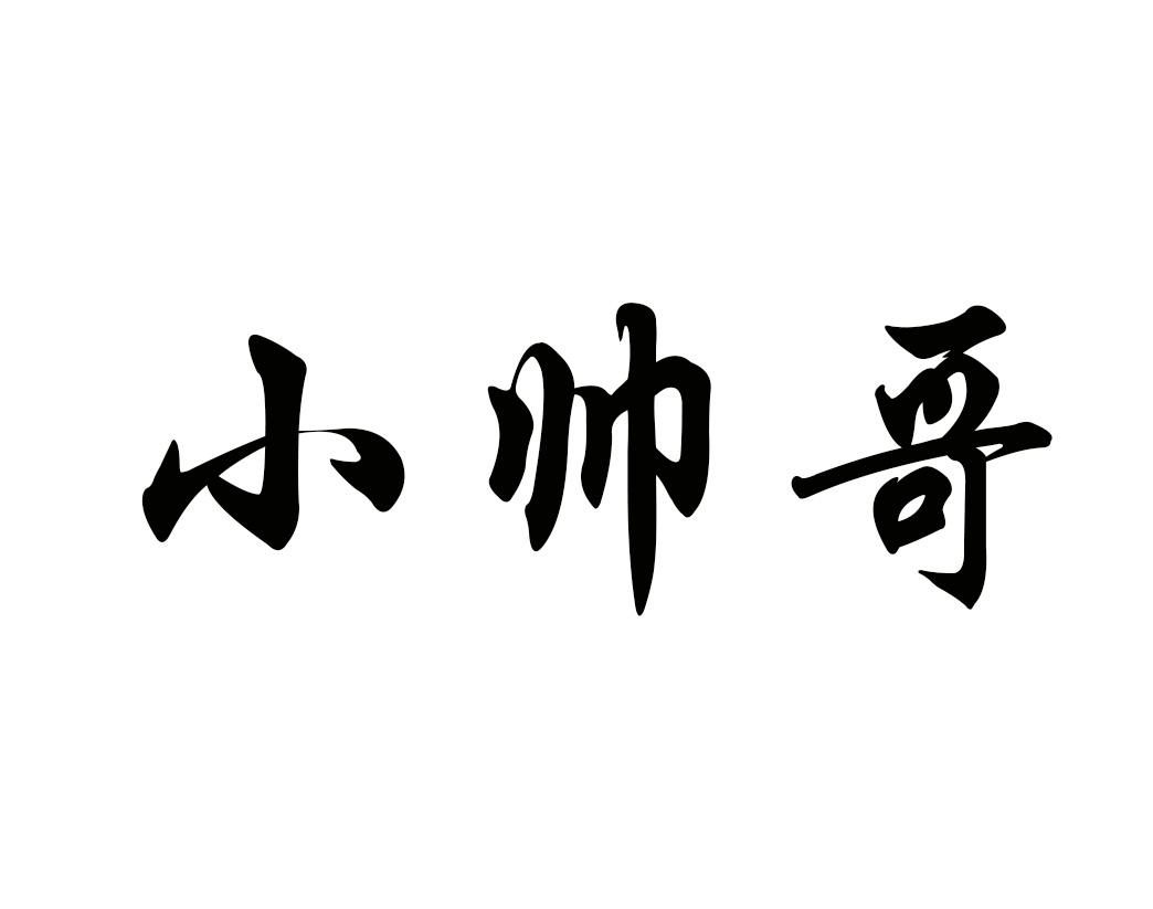 商标文字小帅哥商标注册号 55852809,商标申请人温州先