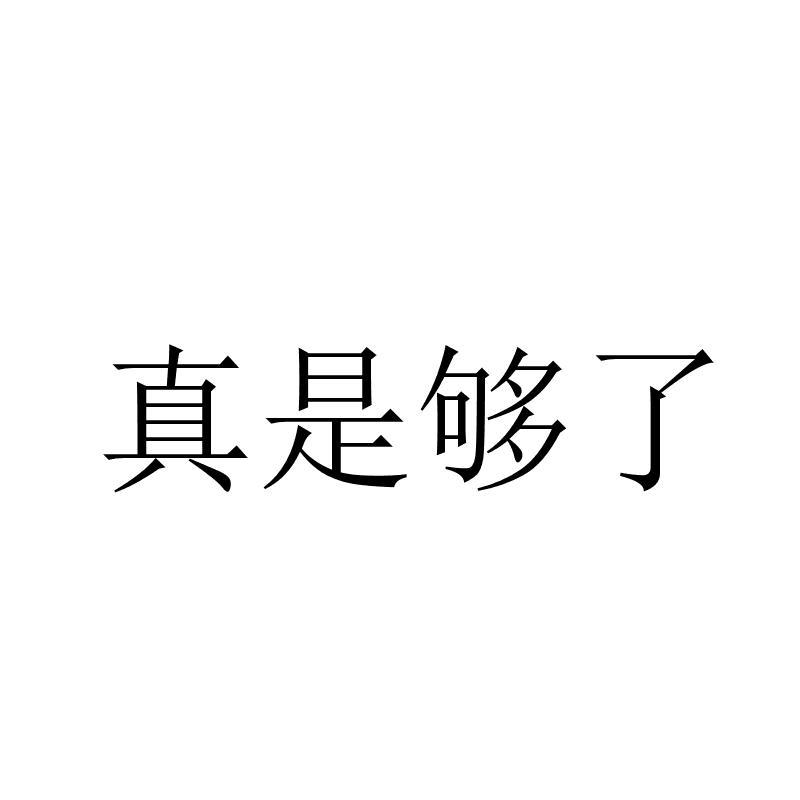商标文字真是够了商标注册号 34125055,商标申请人饕餐