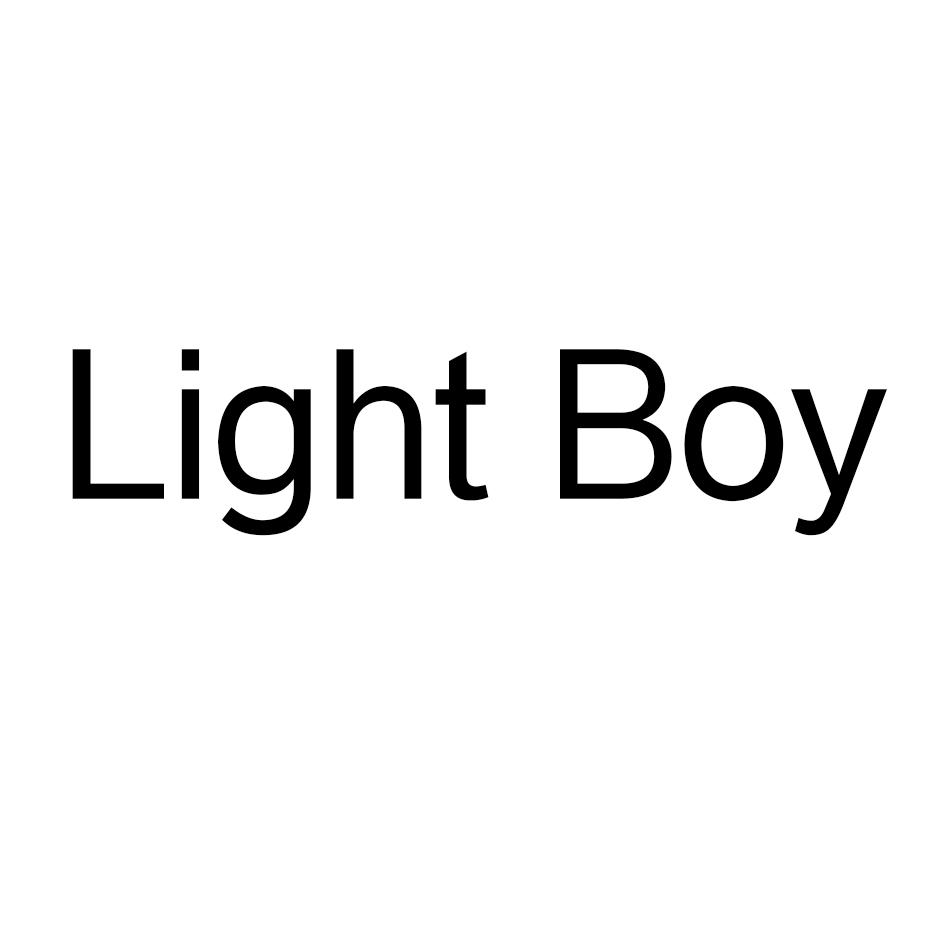 商标文字light boy商标注册号 58087423,商标申请人深圳亮仔光电科技
