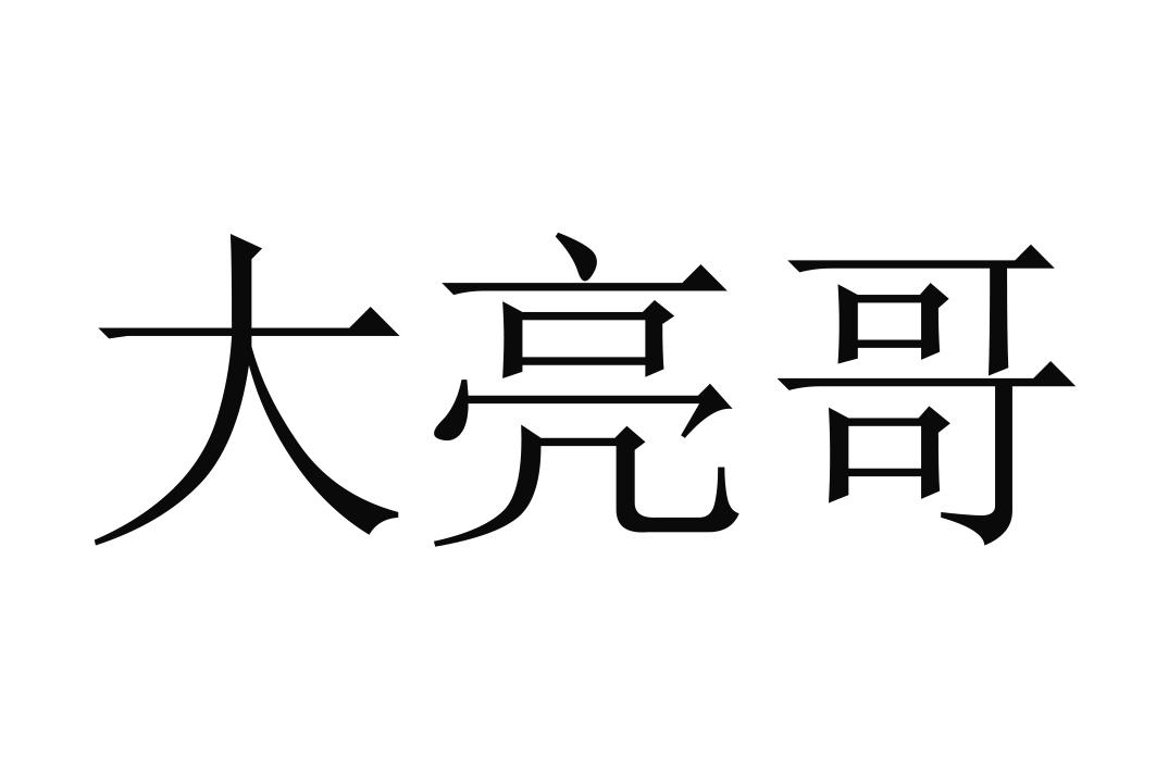 商标文字大亮哥商标注册号 49032350,商标申请人赵春雷的商标详情