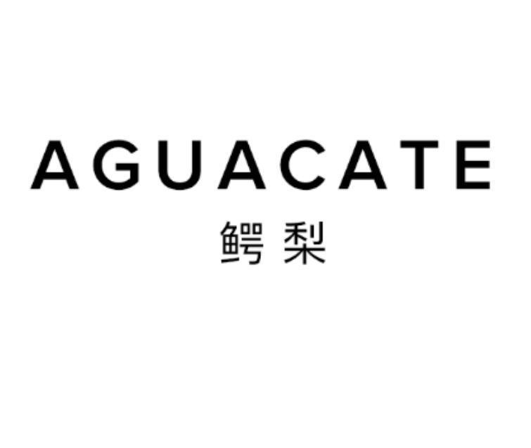 商标文字鳄梨 aguacate商标注册号 57322220,商标申请人深圳奈吉贸易