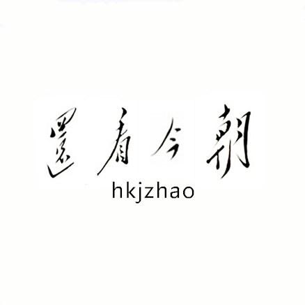 商标文字还看今朝 hkjzhao商标注册号 31587803,商标申请人郑州瑞夫达