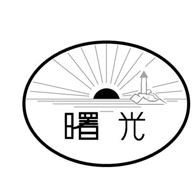 商标文字曙光商标注册号 17340995,商标申请人青岛海德力蓄电池有限