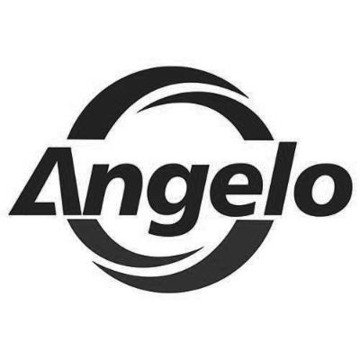 商标文字angelo商标注册号 58036879,商标申请人上海爱久儿食品有限