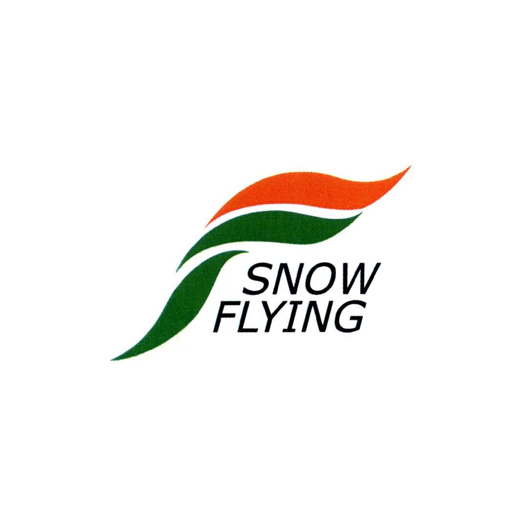 商标名称snow flying商标注册号 12426991,商标申请人