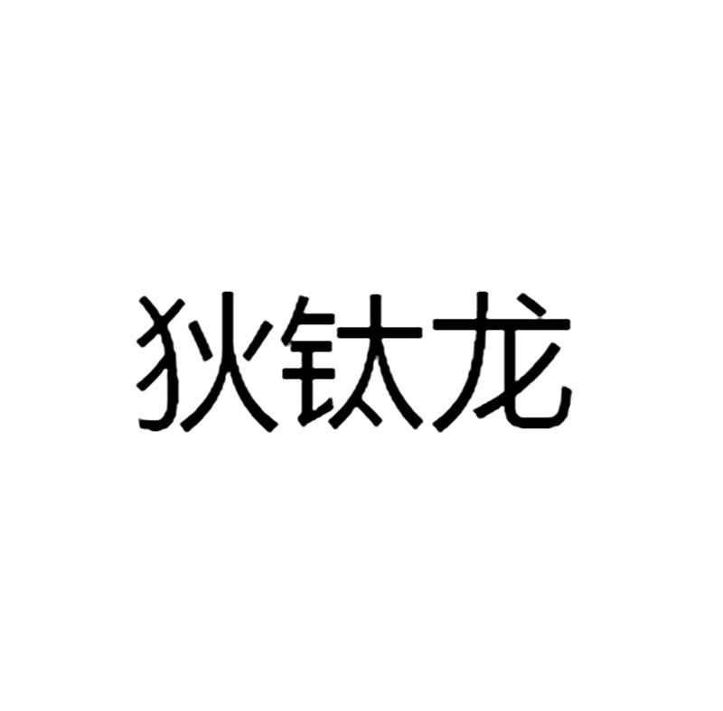 商标文字狄钛龙商标注册号 33960024,商标申请人深圳市富橙科技有限