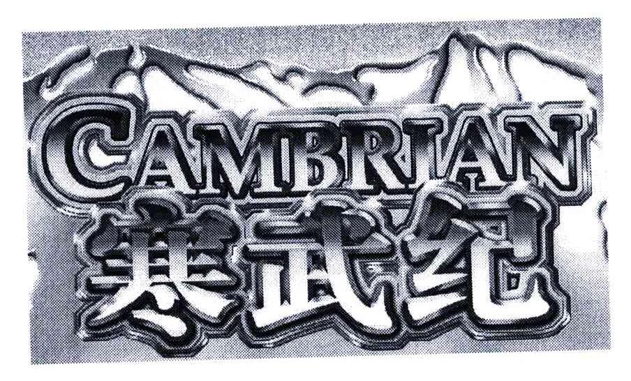 商标文字寒武纪;cambrian商标注册号 4776028,商标申请人云南寒武纪