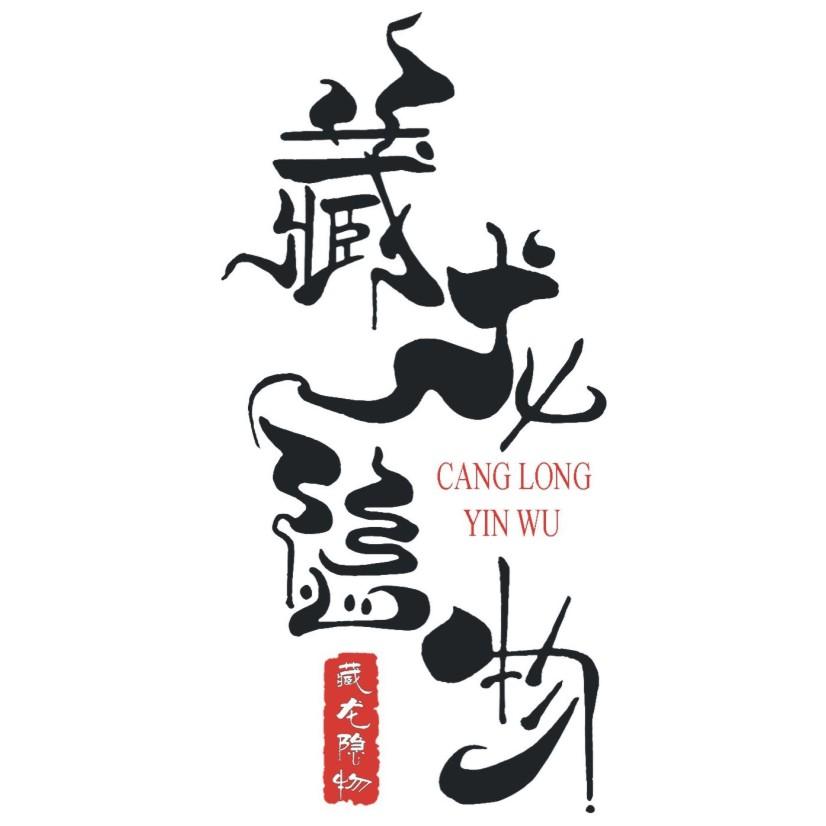 商标文字藏龙隐物商标注册号 45717210,商标申请人浙江