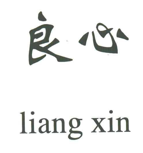商标文字良心商标注册号 3195427,商标申请人汉川市雄飞线业有限公司