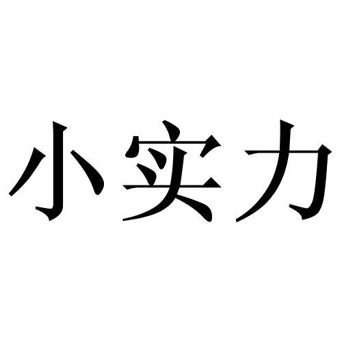 商标文字小实力商标注册号 36222388,商标申请人山东小普商务咨询服务