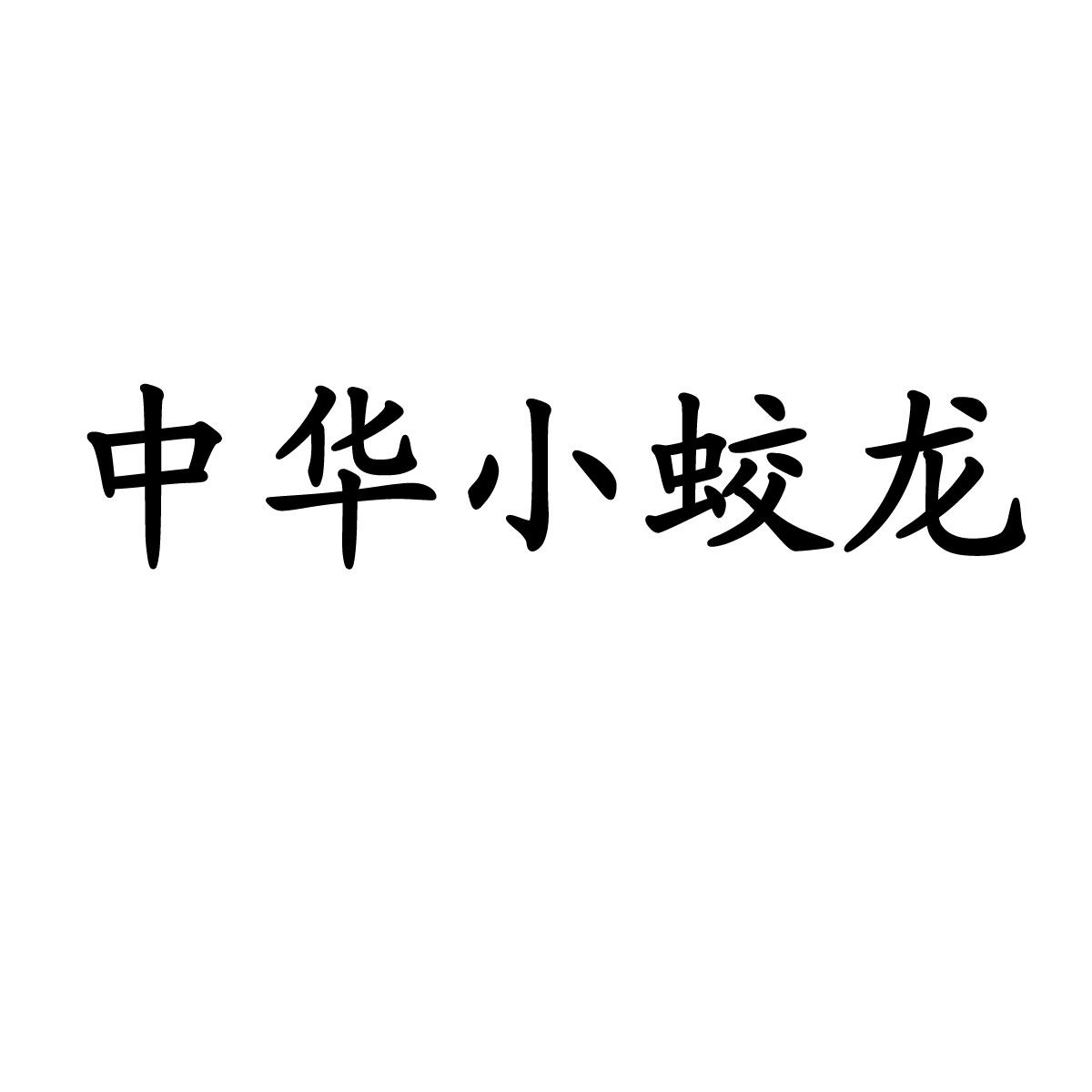 商标文字中华小蛟龙商标注册号 57123358,商标申请人中民会文化旅游