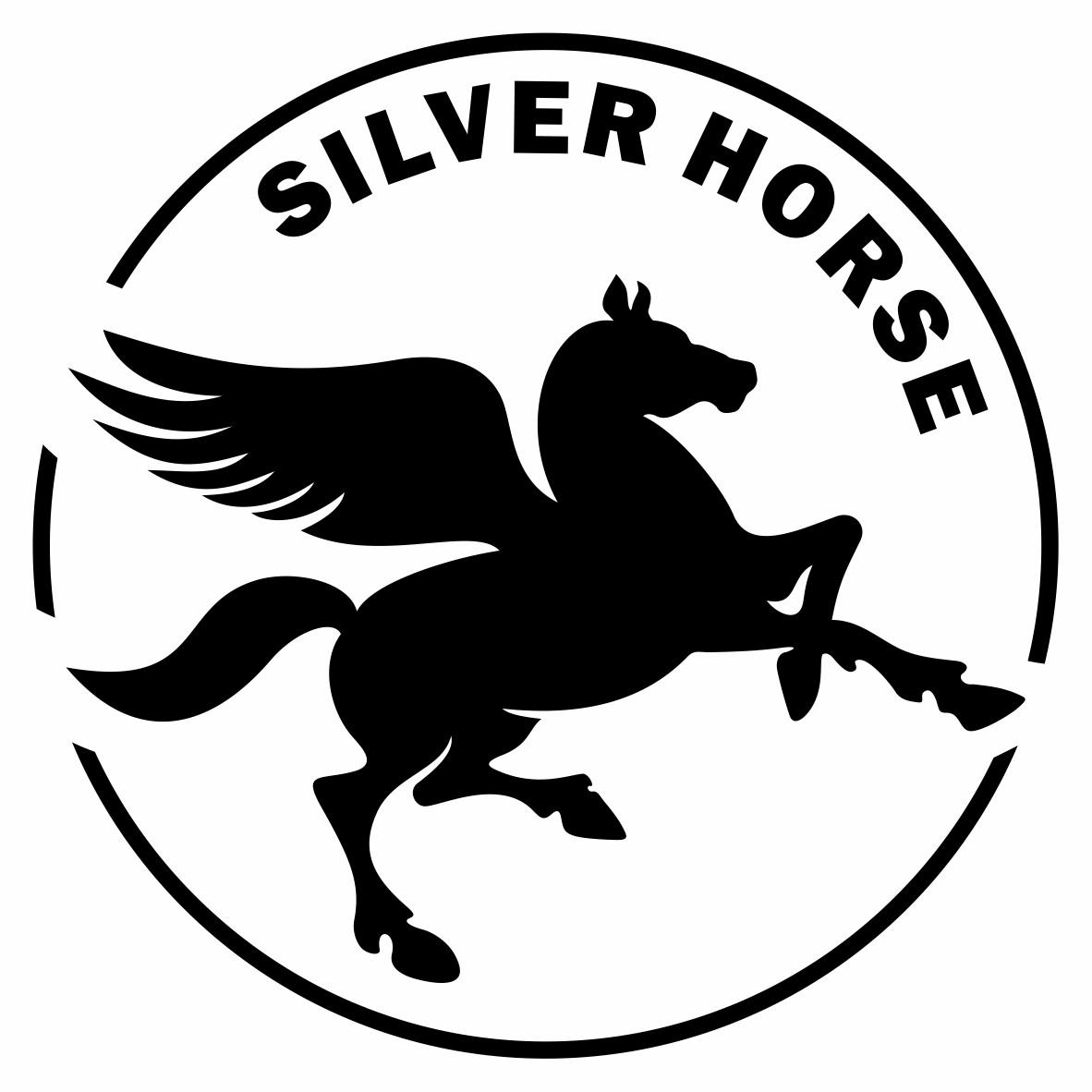 商标文字silver horse商标注册号 57430311,商标申请人西安银马实业