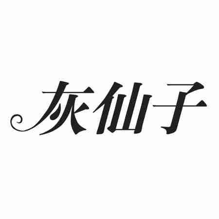 转让商标-灰仙子