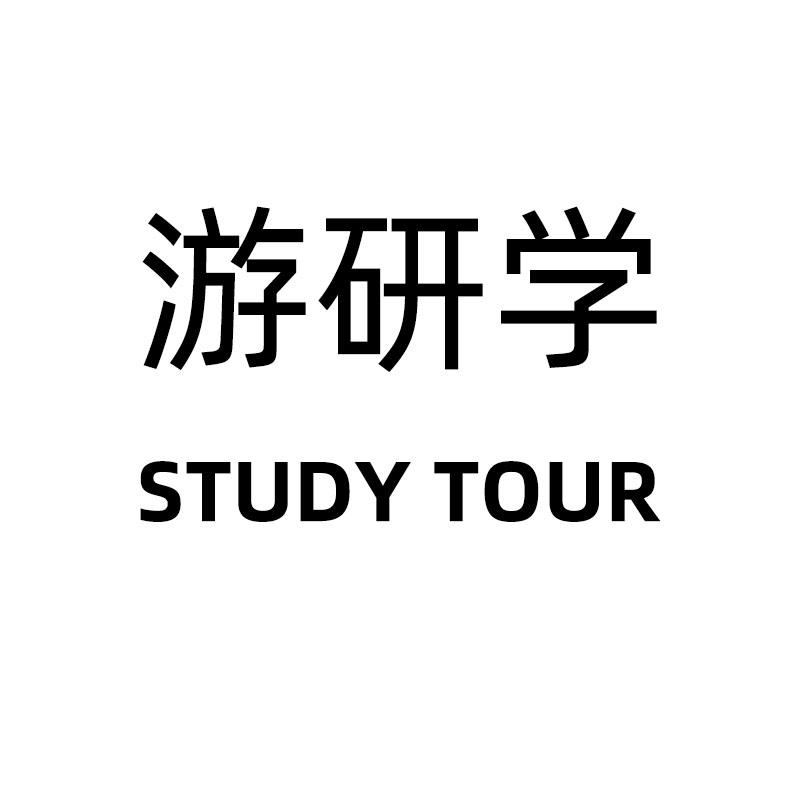 商标文字游研学 study tour商标注册号 53807286,商标申请人道济天下