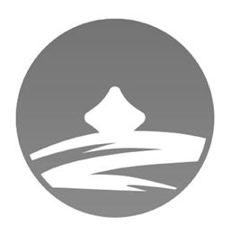 商标文字图形商标注册号 55295858,商标申请人上海文华财经资讯股份