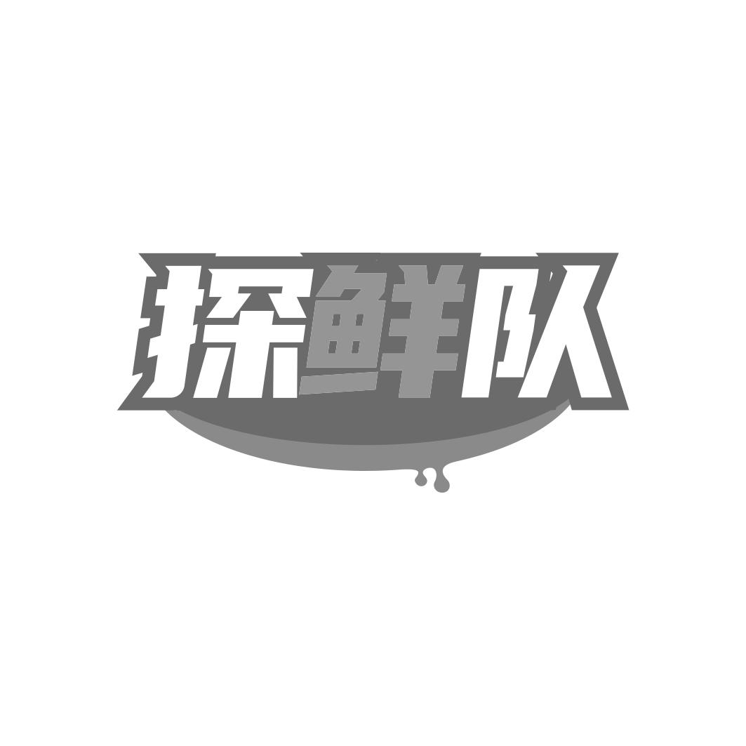 转让商标-探鲜队