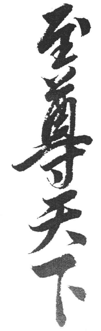 商标文字至尊天下商标注册号 3938770,商标申请人北京动力时空科技