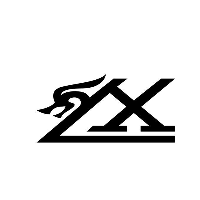 商标文字xl商标注册号 41157096,商标申请人世纪欣龙实业有限公司的