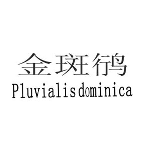 转让商标-金斑鸻 PLUVIALIS DOMINICA