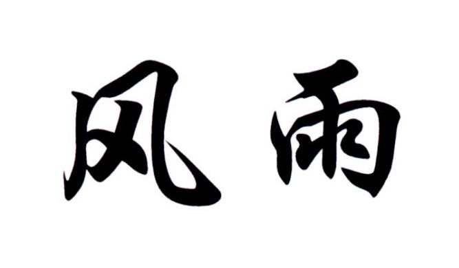 商标文字风雨商标注册号 20977080,商标申请人长春市志健商贸有限公司