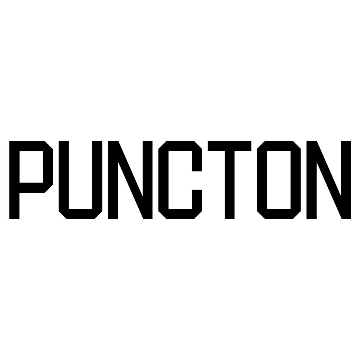 转让商标-PUNCTON