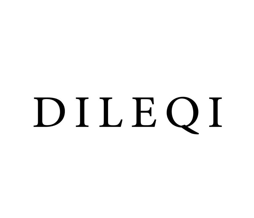 转让商标-DILEQI