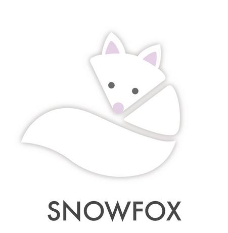 商标文字snowfox商标注册号 18977397,商标申请人jfe有限公司的商标