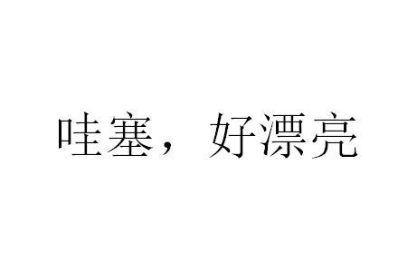 商标文字哇塞,好漂亮商标注册号 50358815,商标申请人北京深松电子