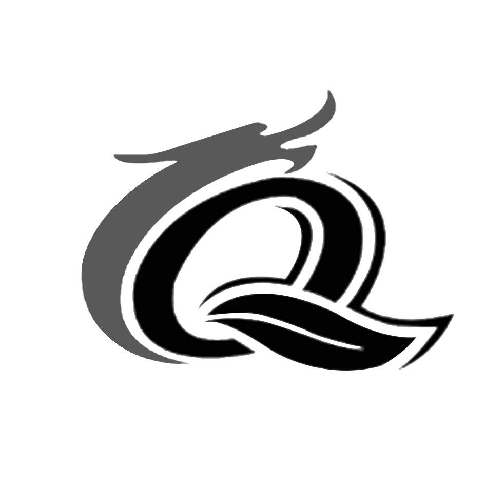 商标文字q商标注册号 49495155,商标申请人李宗全的商标详情 - 标库网