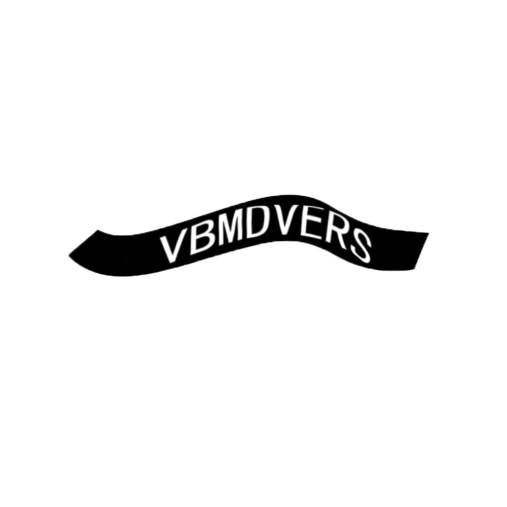 商标文字vbmdvers商标注册号 54502826,商标申请人施碧月的商标详情