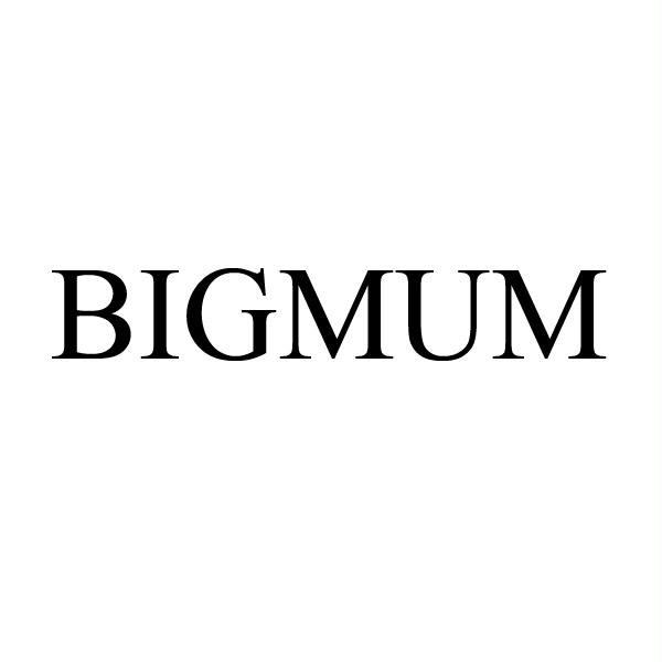 转让商标-BIGMUM