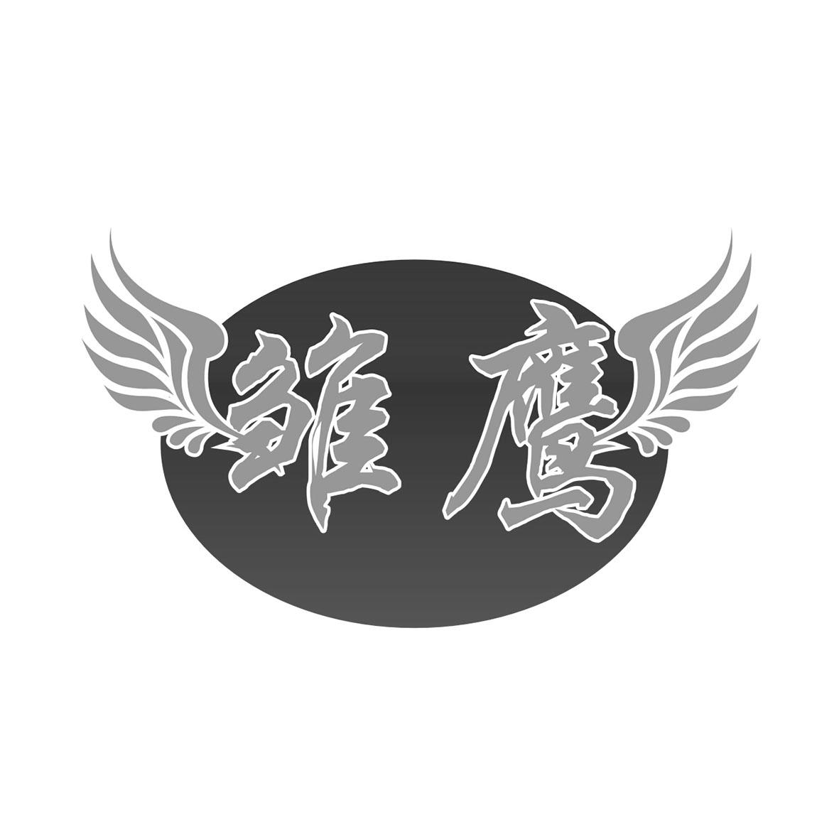 雏鹰logo图片