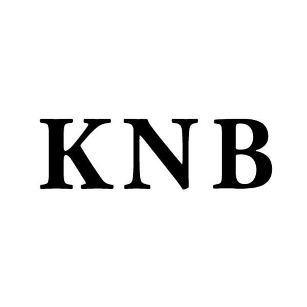 转让商标-KNB