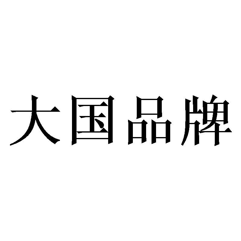 商标文字大国品牌商标注册号 38417391,商标申请人新纪元(福建)体育