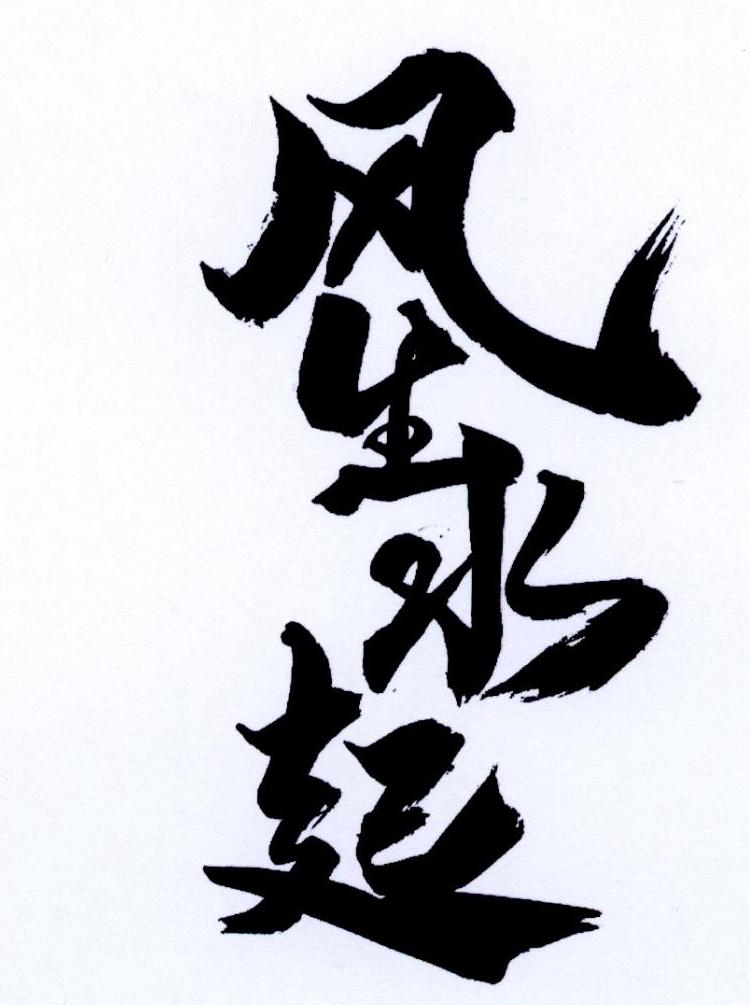 商标文字风生水起商标注册号 46684538,商标申请人福建省武夷山市揽岳