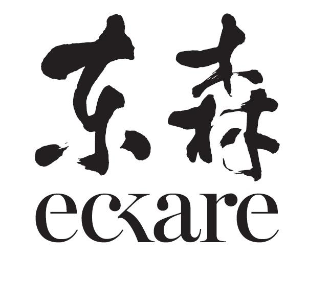 商标文字东森 eckare商标注册号 49026903,商标申请人远富国际股份