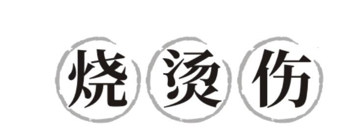 商标文字烧烫伤商标注册号 60561618,商标申请人安徽彝祖世家药业有限