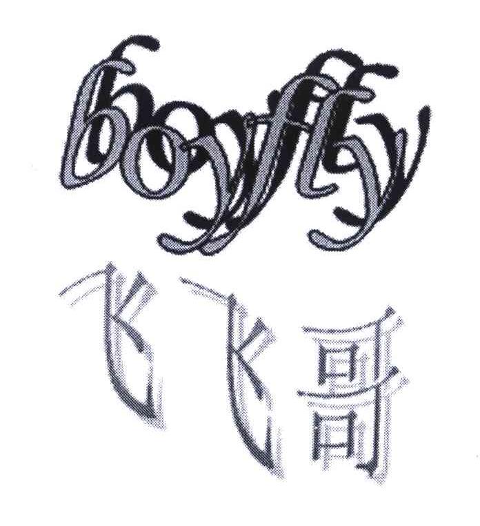 商标文字飞飞哥;boyfly商标注册号 6537400,商标申请人宁波市鄞州爱亿
