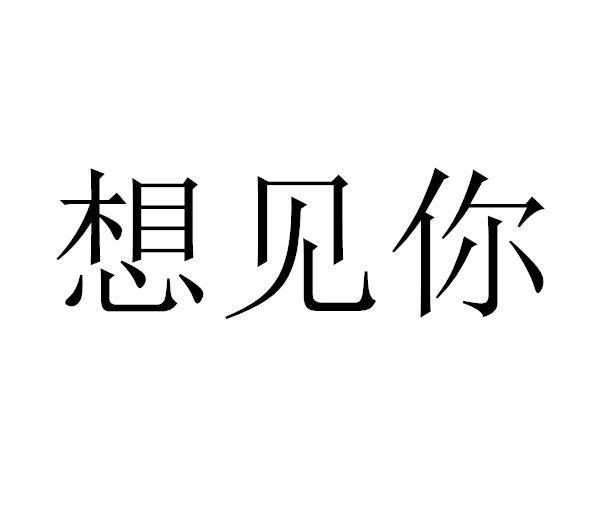 商标文字想见你商标注册号 49319343,商标申请人宿豫区最方有百货经营