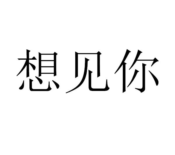 商標文字想見你商標註冊號 49319343,商標申請人宿豫區最方有百貨經營