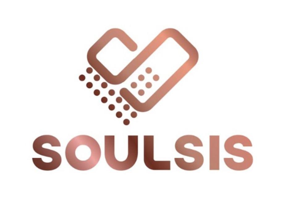 商标文字soulsis商标注册号 49022925,商标申请人凡特瓦亚有限公司的