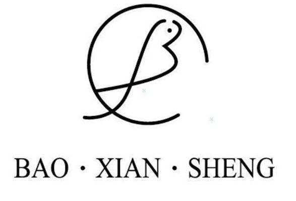 商标文字bao·xian·sheng,商标申请人宁波市弘阳包先生品牌管理有限