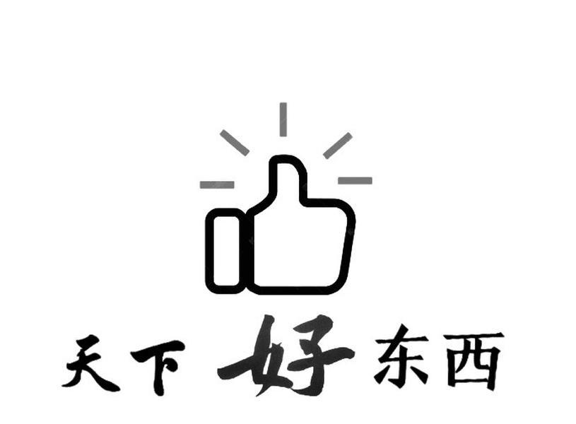 商标文字天下好东西商标注册号 46648214,商标申请人天富(上海)电子
